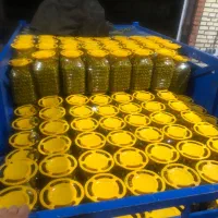 فروش عمده زیتون سوپر صادراتی|خوردنی و آشامیدنی|تهران, میدان میوه و تره‌بار مرکزی|دیوار