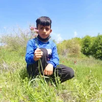 نصاب ایزوگام