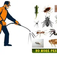 سم پاشی سوسک ، موریانه ، ساس، کک