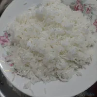 شالی وبرنج فجر۹۰روزه