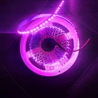 ریسه نواری|ریسه و چراغ تزئینی|تهران, بازار|دیوار