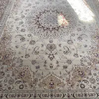 فرشی پانصد شونه و700شانه|فرش|زابل, |دیوار