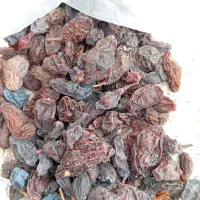 مویز خشک