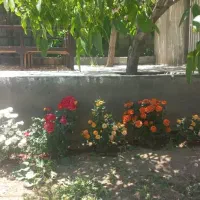 باغ و دامپروری|فروش دفتر صنعتی، کشاورزی، تجاری|سنندج, |دیوار