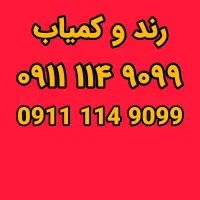 9099 114 0911 رند و کمیاب//یک خط شیک و مجلسی