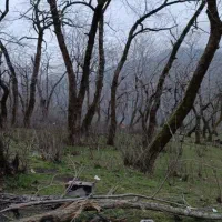 همسفر برای تفریح و مسافرت