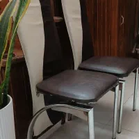 صندلی غذاخوری بسیار تمیز۴عدد|صندلی و نیمکت|چمستان, |دیوار