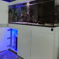 اکواریوم شیشه سوپرکلیر