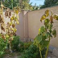 رهن اجاره شهرک مهرگان|اجارهٔ آپارتمان|مشهد, شهرک مهرگان|دیوار