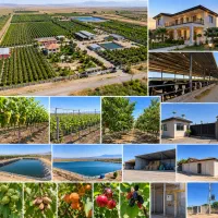 فروش-باغ-ویلا-4-هکتاری-با-دامداری-مجوزدار