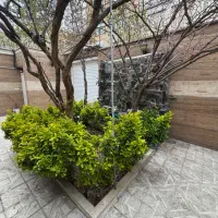 ویلایی زیبا دربست تمیز مناسب سکونت و کار