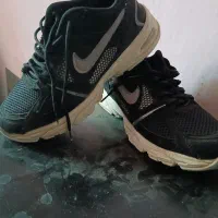 کیف و کفش