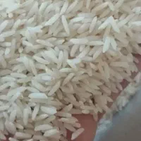 برنج هاشمی معطر به قیمت تعاونی|خوردنی و آشامیدنی|قم, شهرک فاطمیه|دیوار