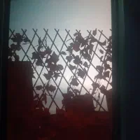 اجاره-واحد-همکف-عطار-جهت-مطب-پزشکان