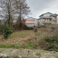 ۵۸۵ مترزمین دونبش ساحلی باسندتک برگ درنوکنده بزرگ|فروش زمین و ملک کلنگی|پرهسر, |دیوار