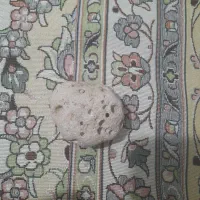 سنگ فسیلی ومرجانی|کلکسیون اشیاء عتیقه|اراک, |دیوار