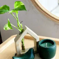 دکوری خونت بامن