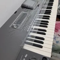 ا رگ pa3xشش و نیم اوکتاو