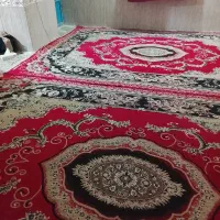 دو عدد قالی دوازده متری و پالاز ۲۴متری تمیز ...|فرش|دلوار, |دیوار