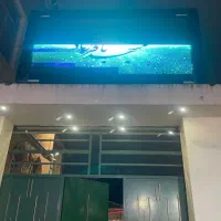 تلوزیون شهری مولتی کالر