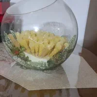 تنگ شیشه ای