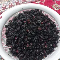 تمشک