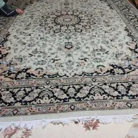 فرش 12متری ماشینی|فرش|تبریز, |دیوار