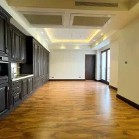 زعفرانیه ۲۵۰متر ۴خواب برج باغ طبقات بالا پاگردمجزا|فروش آپارتمان|تهران, زعفرانیه|دیوار