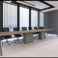 منشی خانم و جانشین مدیر عامل