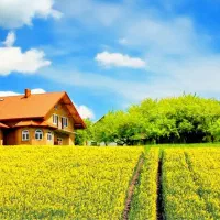 2هکتار-زمین-موقعیت-عالی