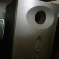 گم شده شاهین عامری