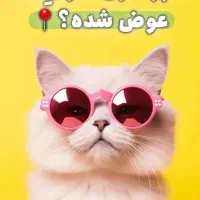 پلی کلینیک دامپزشکی آرتا|خدمات آرایشگری و زیبایی|اردبیل, |دیوار