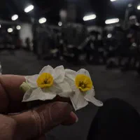 مربی بدنسازی فیتنس فانکشنال حرکات اصلاحی