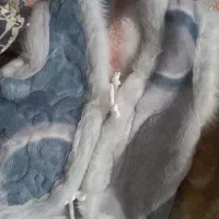 جلیقه گمشده