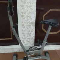 دوجرخه ثابت