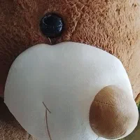 قشنگ بزرگ|کلکسیون و سرگرمی|کرمان, |دیوار