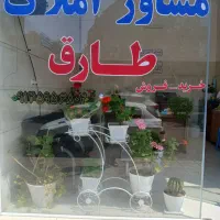 ۸۰متر زمین تجاری مسکونی با بر ۷.۵خ. اصلی فرهنگیان