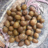 زیتون شور|خوردنی و آشامیدنی|میبد, |دیوار