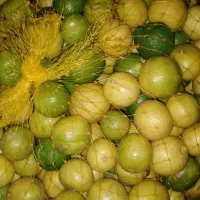 لیمو درشت آبدار