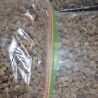 کشمش سایه خشک کاملا ارگانیک