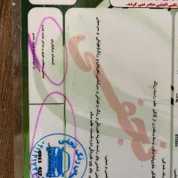 فروش ۲۰۶ مدل ۸۸|خودرو سواری و وانت|گرگان, |دیوار