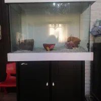 آکواریوم شیشه خم