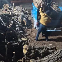 خرید انواع چوب ضایعات نوپان صنعتی|خدمات باغبانی و درختکاری|گلبهار, شهر جدید گلبهار|دیوار