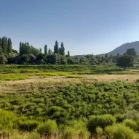 سرکارگر کشاورزی