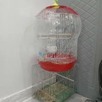 قفس قفس آویز قفس طوطی