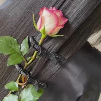 آف15٪ کراتین مو ویژه نوروز