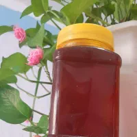 عسل|خوردنی و آشامیدنی|مهران (ایلام), |دیوار