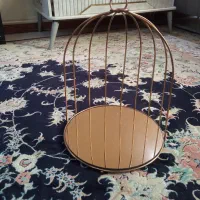 تزیینی زیبا