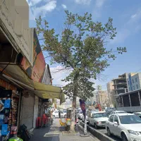 اجاره مغازه/بر خیابان اصلی خلیج/پر تردد/پاخور خوب