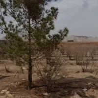 زمین چهاردیواری باغی|فروش زمین و ملک کلنگی|اصفهان, سرشبادران|دیوار